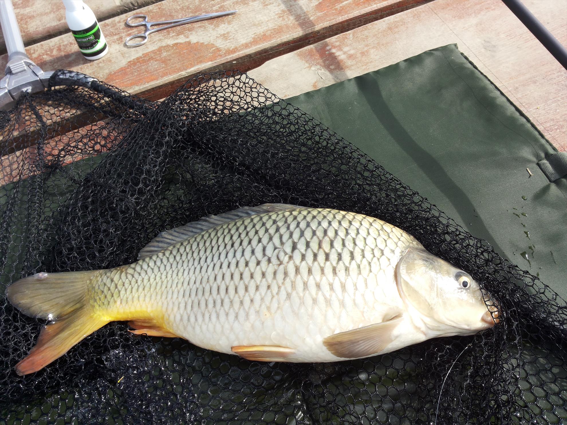 Pleasa 04-05-14 - 20140504163151.jpg